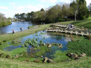 Wetland at Beveridge Park Fife by Water Gems complete, and area open to the public